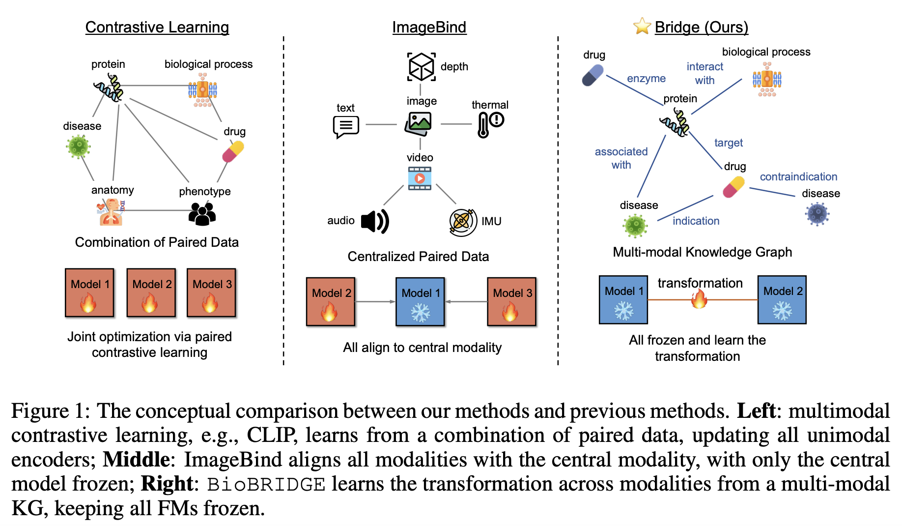 BioBridge paper preview