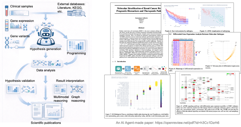 BioDSA: from data to biomarker discovery and paper writing, all driven by an AI agent