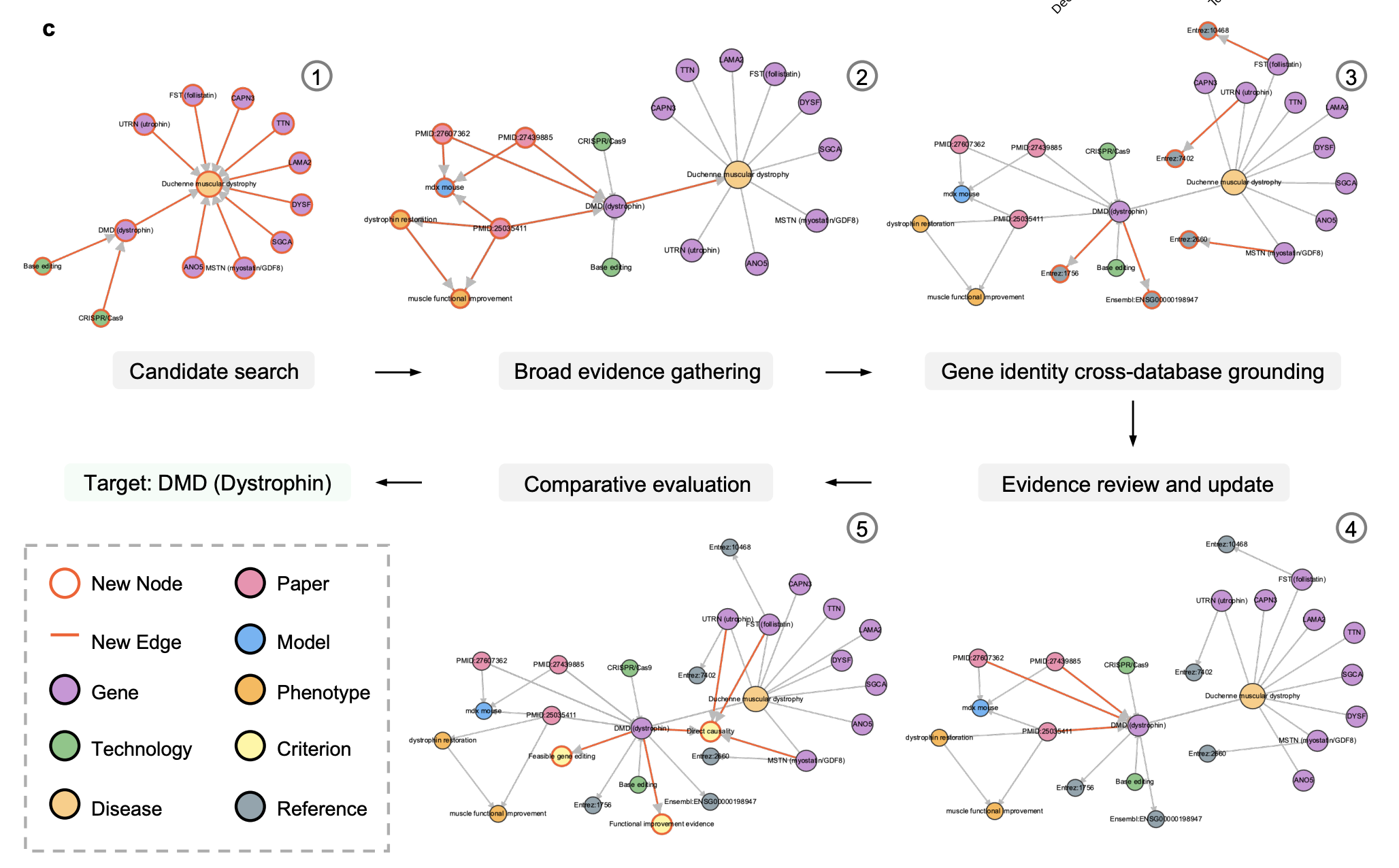 DeepEvidence real-world discovery workflow